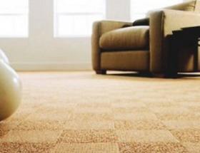 moquette